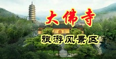 骚浪淫女日屄视频中国浙江-新昌大佛寺旅游风景区